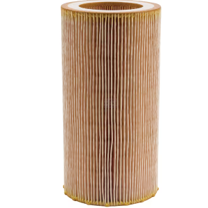 Filtre MANN C10050