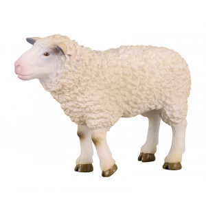 Mouton Mouton