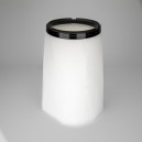 Filtre à air de sécurité DONALDSON Radialseal P958909